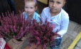 Sázení květin ve školní družině