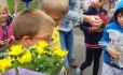 Sázení květin ve školní družině