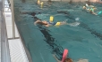 Plavecký výcvik den 4